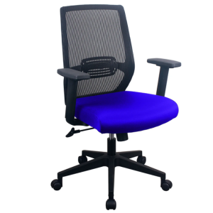 PAVIA Blue Ergonomic Mesh Task Chair