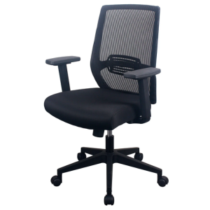 PAVIA Ergonomic Mesh Task Chair