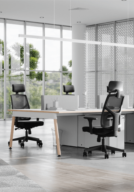 Ergonomic Office Chairs