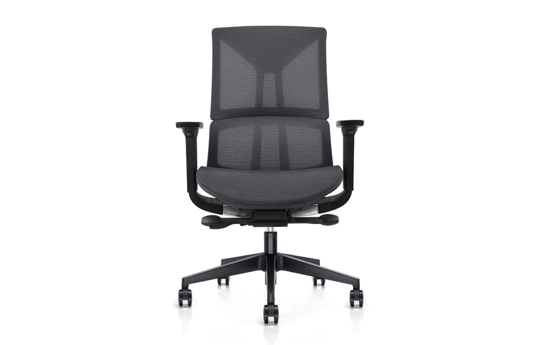 Maestro super ergonomic task chair
