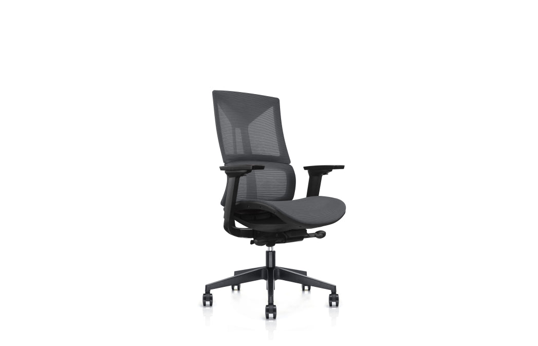 Maestro super ergonomic task chair