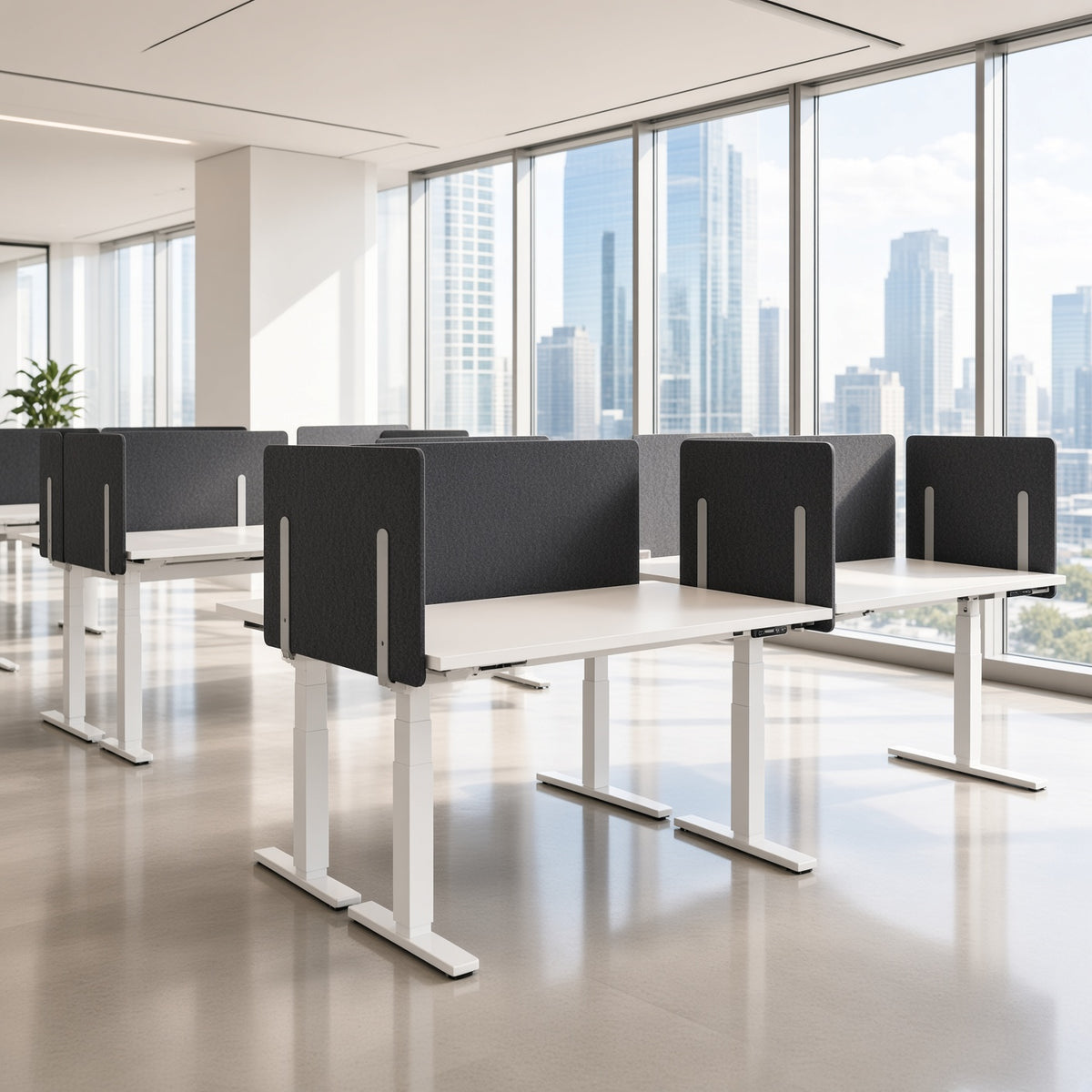 Charcoal clamp-on desk screens dividing rows of white sit-stand benching desks in an open office with city views