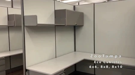 Zoo Tampa Install