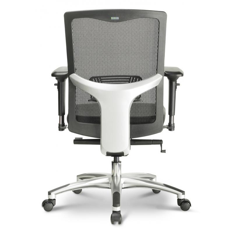 Adona Ergonomic Executive Task Chair - Freedman's Office Furniture - Back