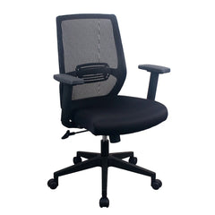 PAVIA Ergonomic Mesh Task Chair Image